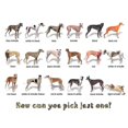 thumbnail image 2 of CafePress - Greyhound Colors Mug - 11 oz Ceramic Mug - Novelty Coffee Tea Cup, 2 of 3