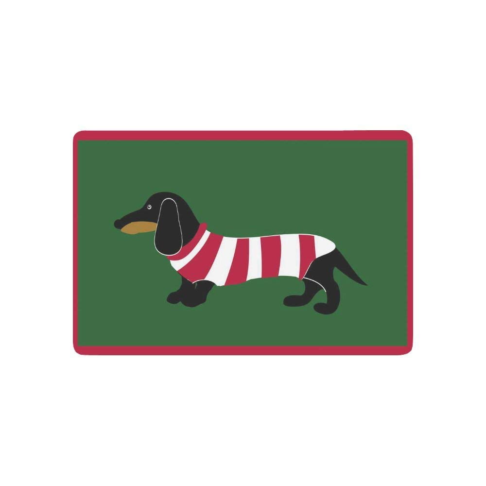 CADecor Animal Door Mat Home Decor, Dachshund in Stripes Indoor Outdoor
