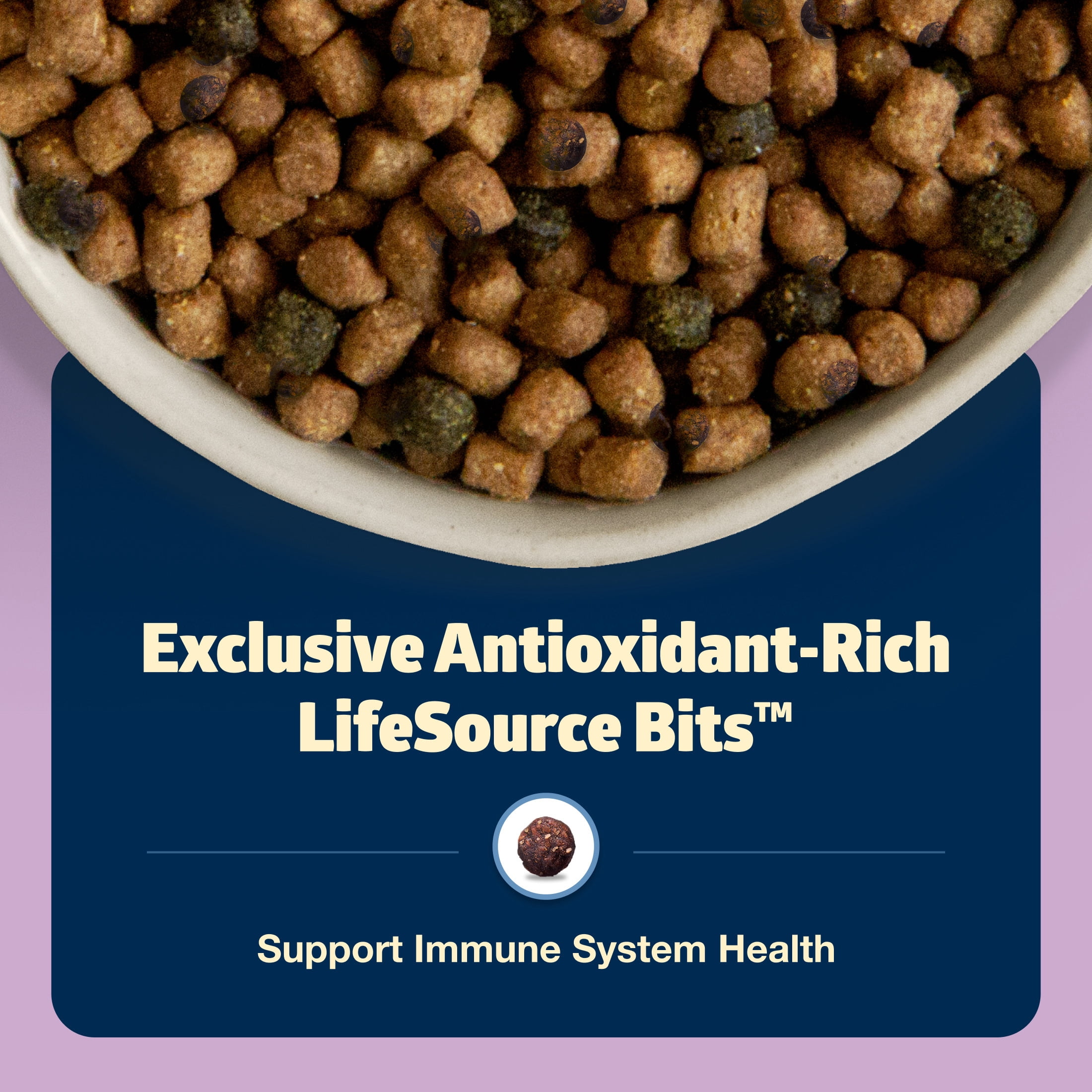 Blue Buffalo Freedom Grain-Free Dry Indoor Kitten Food with DHA, Chicken Recipe, 5-lb. Bag