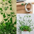 thumbnail image 5 of 100 pcs Plant Climbing Wall Fixture Clips Self-Adhesive Hook Vines Traction Clips Invisible Holder Garden Green Leaf Simulation Self-Adhesive Hook Wire Fixing Supporting, 5 of 6