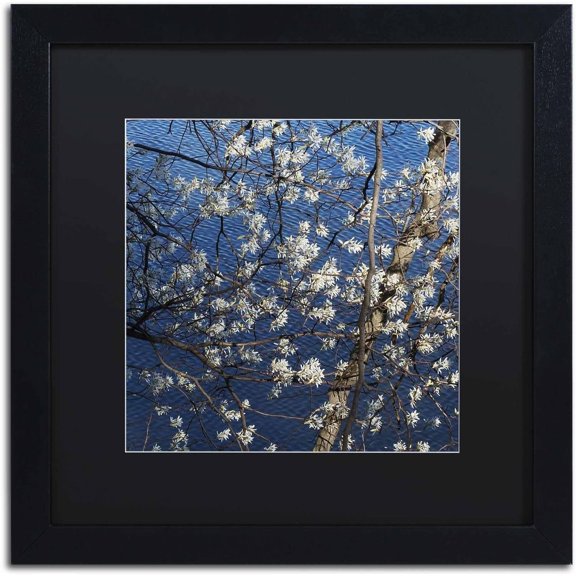 Trademark Fine Art "Springtime at the Lake" Canvas Art by Kurt Shaffer, Black Matte, Black Frame