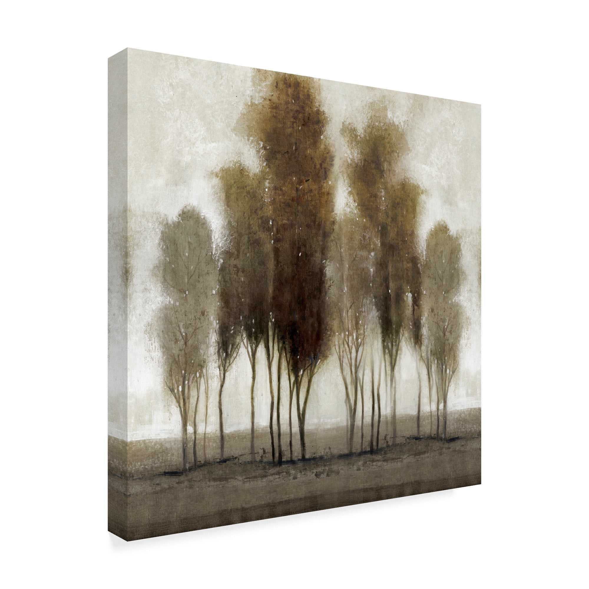 Trademark Fine Art 'Neutral Scape' Canvas Art by Tim OToole