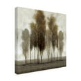 thumbnail image 2 of Trademark Fine Art 'Neutral Scape' Canvas Art by Tim OToole, 2 of 4