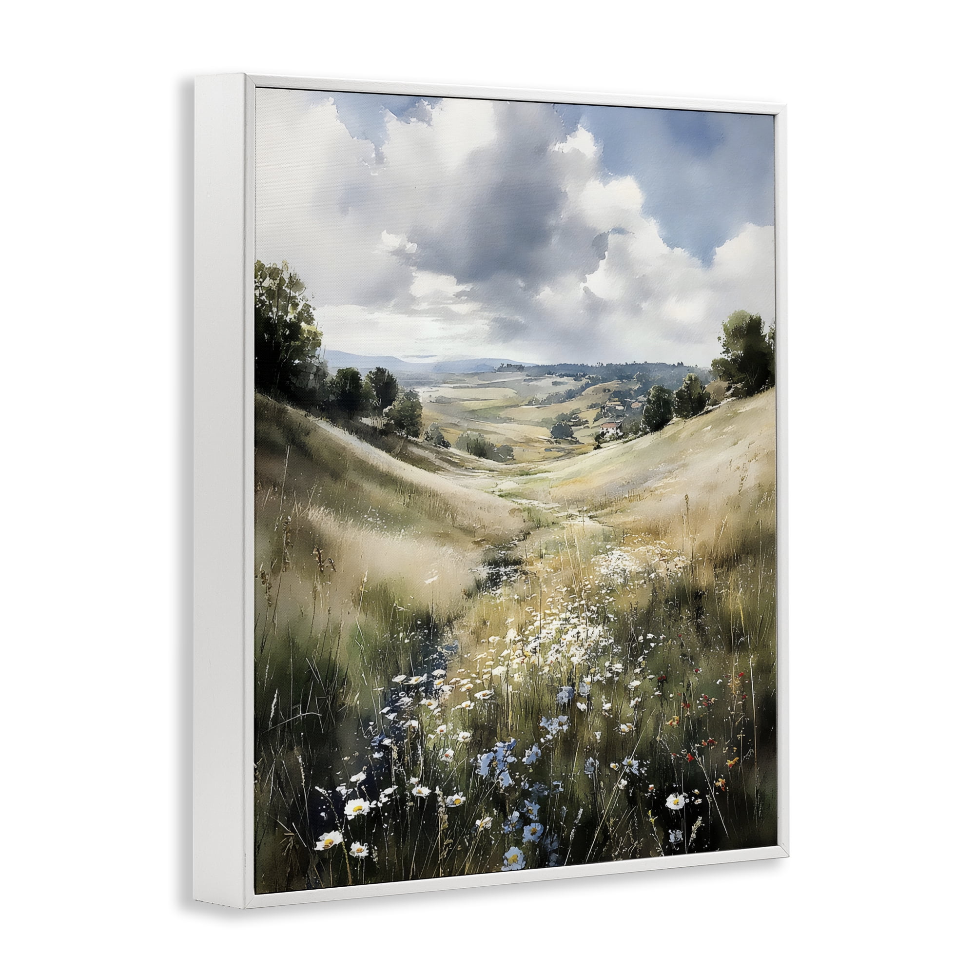 Stupell Industries Floral Valley of Wild Daisies White Framed Giclee Art, design by Franklyn Gregory