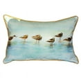 thumbnail image 2 of Betsy Drake ZP024 20 x 24 in. Avocets Extra Large Zippered Pillow, 2 of 4
