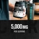 thumbnail image 2 of Suplemento de creatina Jacked Factory monohidrato de creatina 250 g, 2 of 6