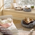 thumbnail image 3 of U By Bedsure Dog Beds for Small Dogs - Round Cat Beds for Indoor Cats, Washable Pet Bed for Puppy and Kitten with Slip-Resistant Bottom, 20 Inches, Camel, 3 of 9