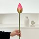 thumbnail image 5 of Simulación Plástica 1 unidad de flores artificiales de loto de plástico rosa oscuro para decoración de mesas de comedor,mueble de TV y peceras en el salón de Buda. Rkxzt, 5 of 9