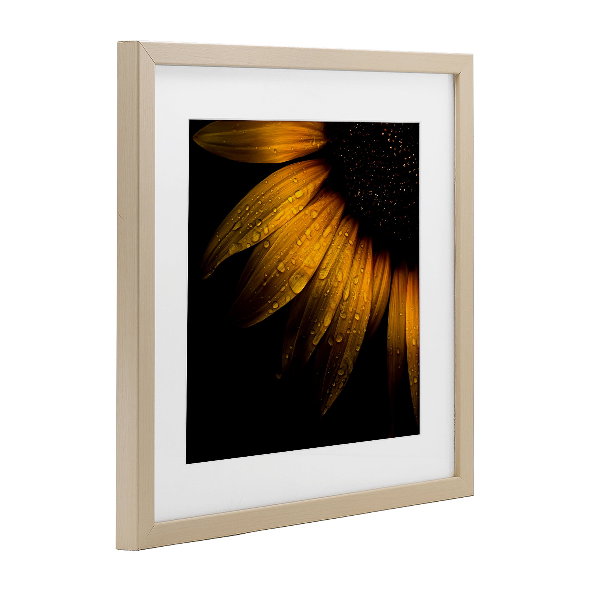 Sunflower Detail with Droplets Birch Framed Print Under Glass, design by Brian Carson Photography
