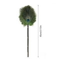 thumbnail image 3 of Darzheoy Peacock Feather Duster, 17.7" Green Peacock Feather Duster with Wood Handle, Reusable Car Dusters, Eco-Friendly Handheld Cleaning Dusters for Home, Office and Kitchen, 3 of 9