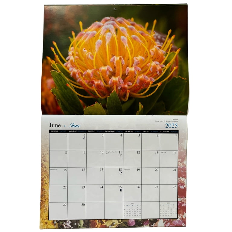 islander-hawaii-hawaiian-2025-twelve-month-calendar-choose-walmart-com