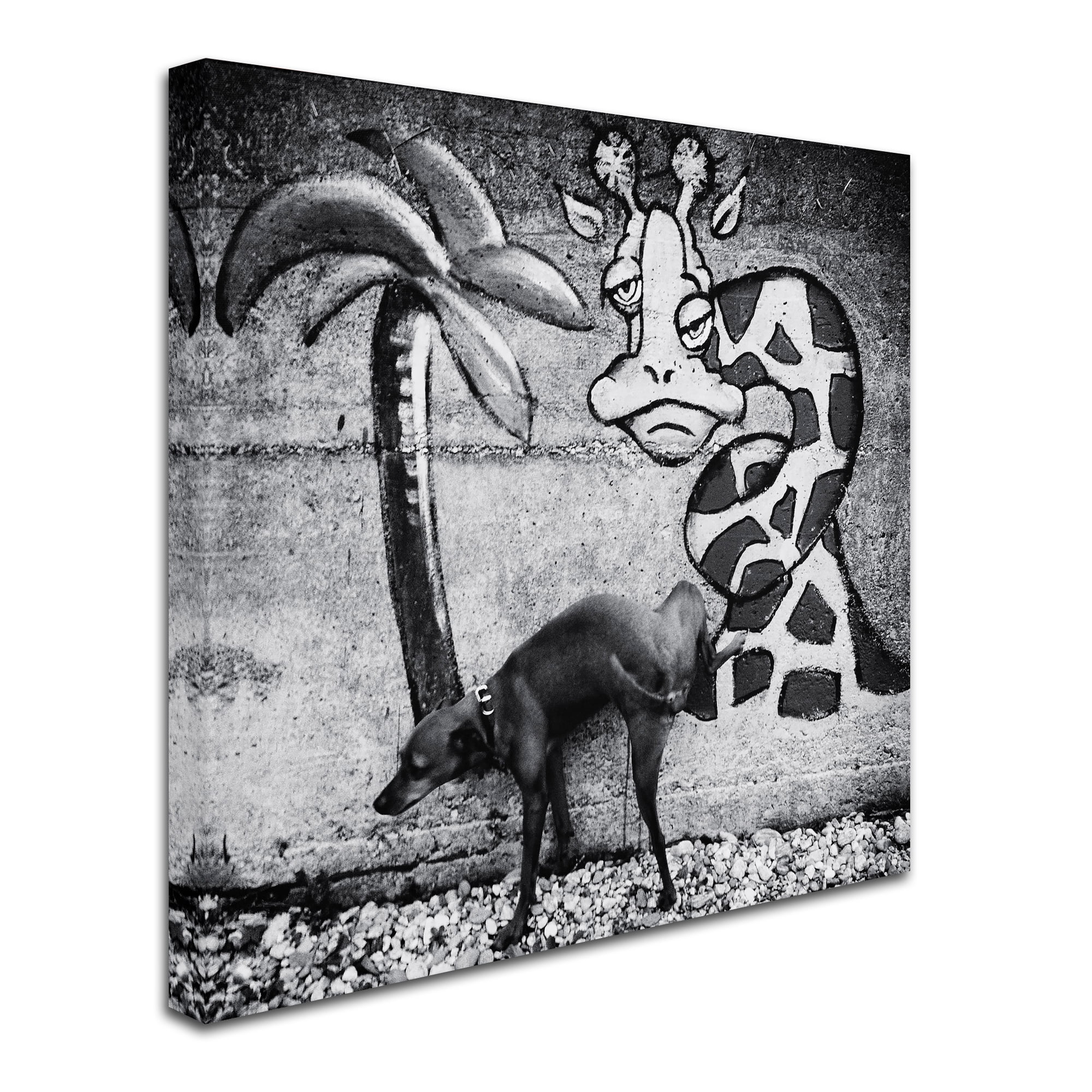 Trademark Fine Art 'Dog And Grafitti' Canvas Art by Christine Frick