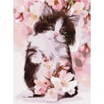 thumbnail image 3 of Painting by Numbers kit Fluffy kitten KHO4383, 3 of 5