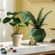 thumbnail image 4 of Simulation Plants Decorative Small Potted Plants Office Living Room Desktop Indoor Bonsais Ornaments Bionics Fake Flowers And Greenerys, 4 of 6