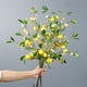 thumbnail image 2 of 3 Ramas Artificiales de Limón Planta Falsa con Hojas Verdes para Baby Showers Bodas Ceremonias fiestas ANGGREK  Otros, 2 of 8