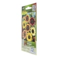thumbnail image 2 of Semillas Girasol Belleza De Otoño Vita 2G Multicolor, 2 of 3
