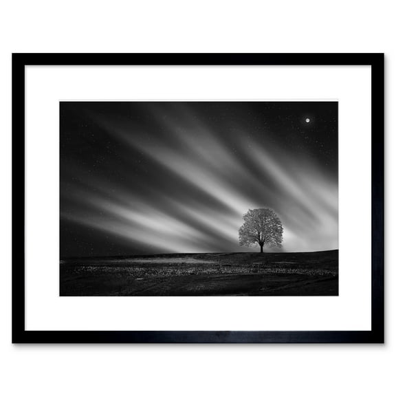 Lone Tree Landscape Aurora Black White Framed Wall Art Print