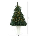 thumbnail image 2 of 52in. Northern Rocky Spruce Artificial Christmas Tree with 100 Clear Lights and 322 Bendable Branches in Tower Planter, 2 of 6