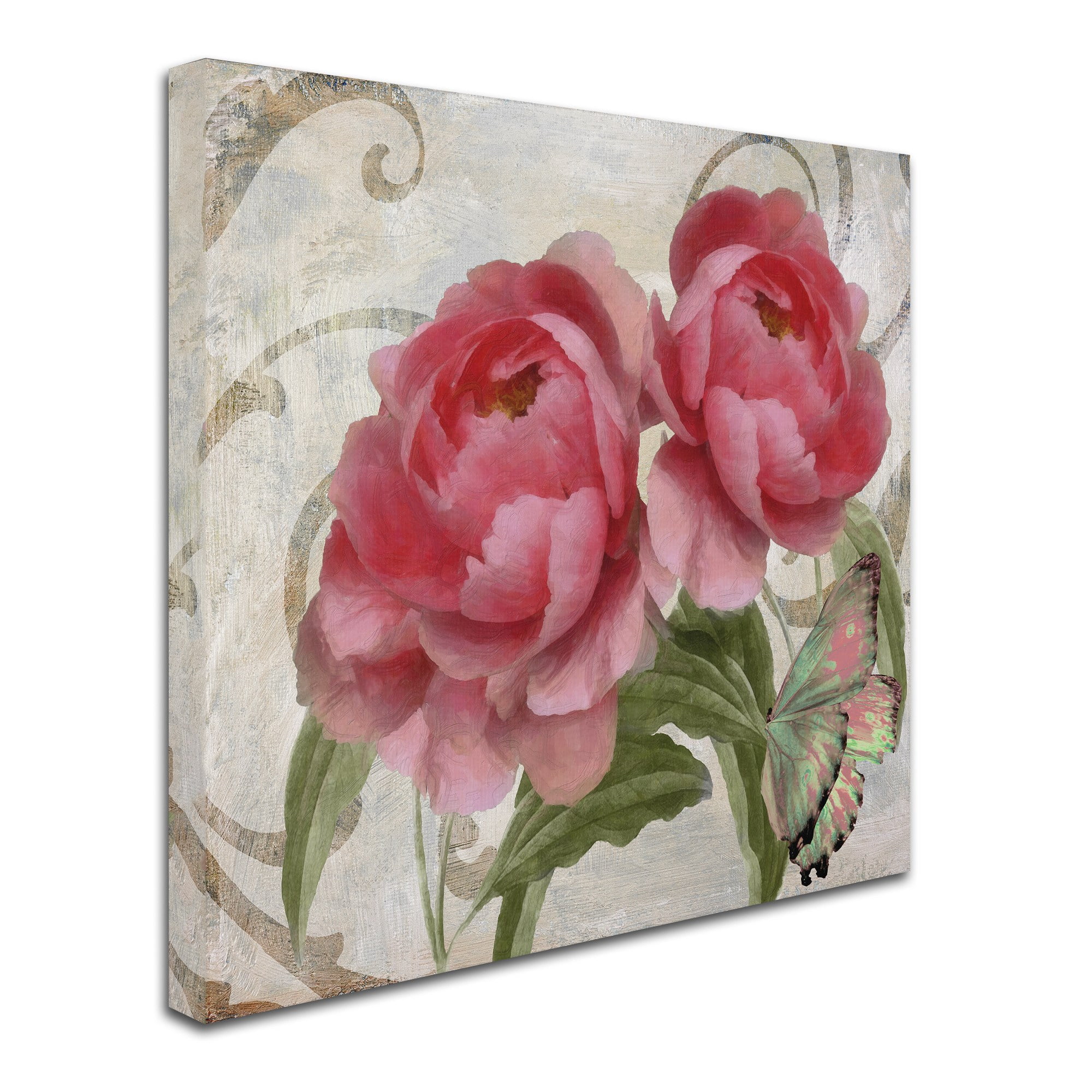 Trademark Fine Art "Apricot Peonies I" Canvas Art by Color Bakery