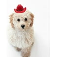 thumbnail image 4 of Dog Cowboy Hat Cat Cowboy Hat Pet Cowboy Costume Mini Cowboy Hat for Dogs Cat Holiday Halloween Pet Party Decoration (Brown, Small), 4 of 10
