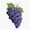 1pcs, variant on Grape Fresh Kitchen Decor Art Retro Style Vinyl Sticker