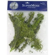 Super Moss 23536-1 8 Oz Chartreuse Preserved Lichen