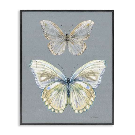 Stupell Industries Traditional Butterfly Pair Study Black Framed Giclee Art, 11 x 14, by Carol Robinson