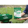 thumbnail image 4 of Scotts Turf Builder Dense Shade Mix Grass Seed - Full Shade, Up to 750 Sq. Ft. - 3 Lb, 4 of 4