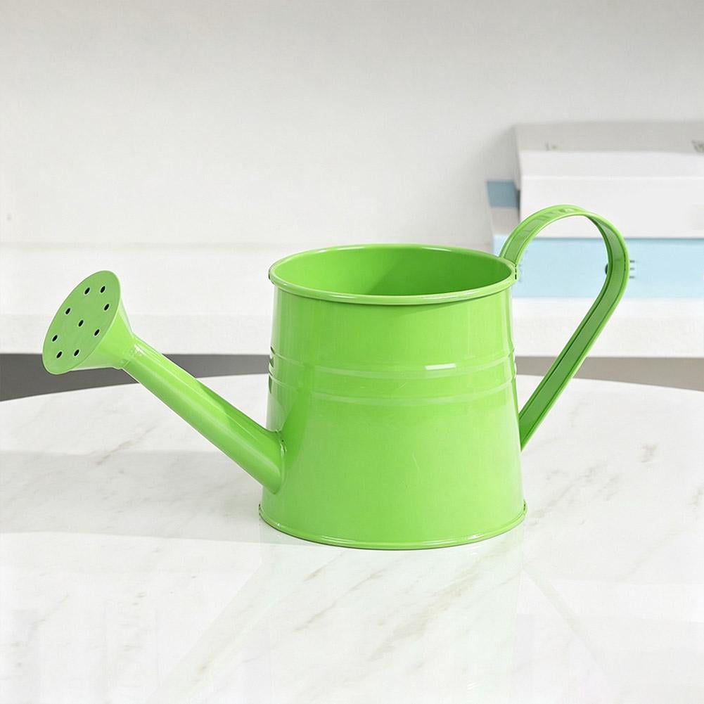 Metal Watering Can, 1L Vintage Sprinkling Can Plant Watering Cans for Outdoor Indoor Plants, Retro Sprinkling Cans for Flowers, Indoor & Outdoor Plants, Lawn & Garden Irrigation Tool - White