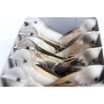 thumbnail image 4 of 12pieces Modelo de Pájaro Artificial de Pájaros Arbodo Decoración Ornamentos Hogar Sunnimix Pájaros artificiales, 4 of 8