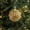 2#, variant on Golden Glitter Christmas Ball Ornaments Hanging Decorations for Holiday Tree Party Festive Arrangements Shiny Sphere Baubles Xmas Decor