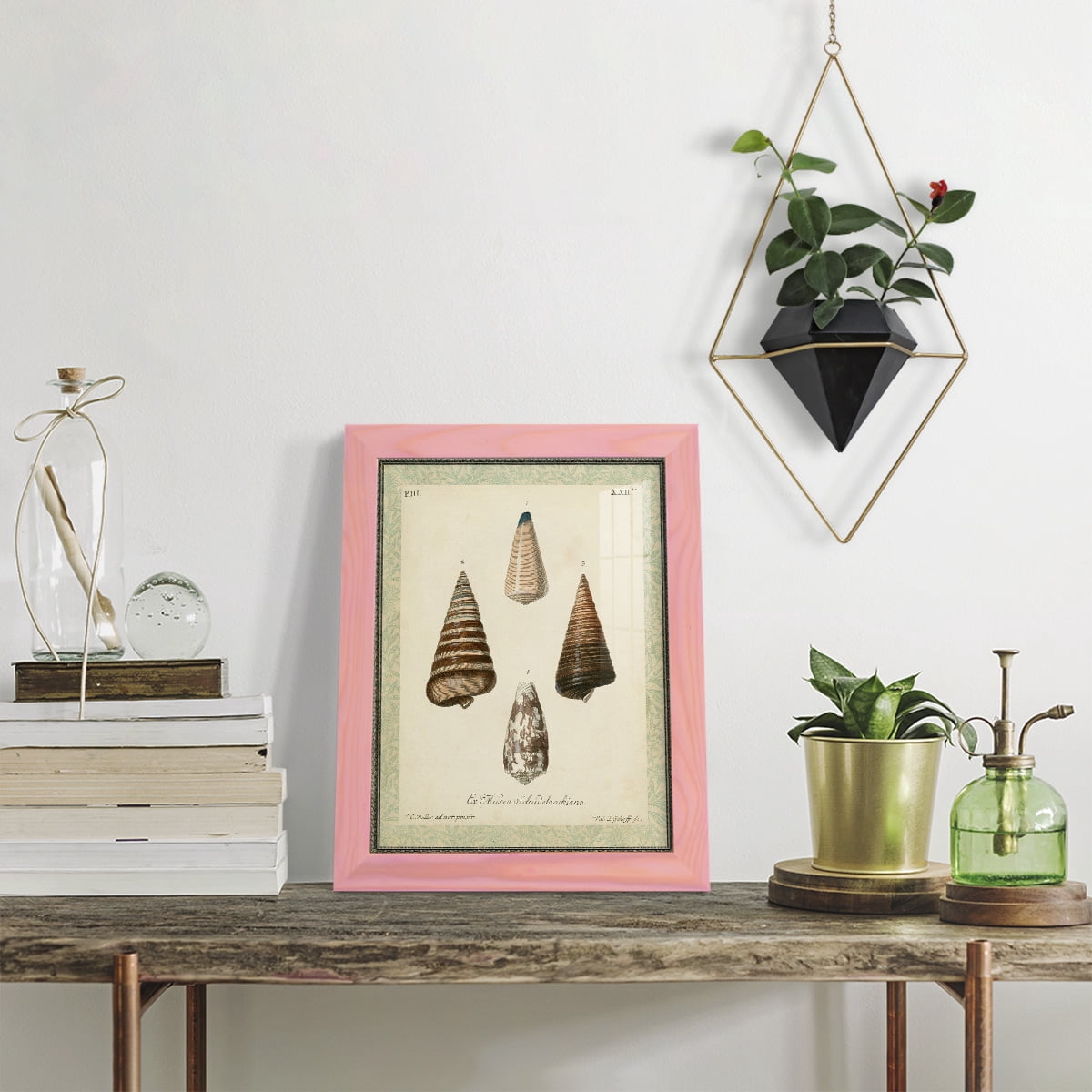 Bookplate Shells VI - Framed Print w/glass - Sunset Pink