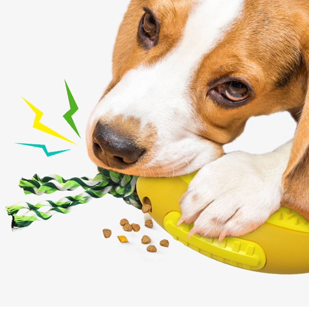 Rover Test Pups Review The Arf Pets Treat Dispenser And Puzzle Toy