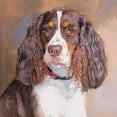 thumbnail image 3 of Fagan, Edie 20x20 Black Modern Framed Museum Art Print Titled - Annabelle Springer Spaniel, 3 of 5