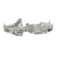thumbnail image 2 of Transparent Teeth Anatomical Model Dental Animals Oral Tooth Jaw for Veterinary Educational Tool (C, 2 of 5