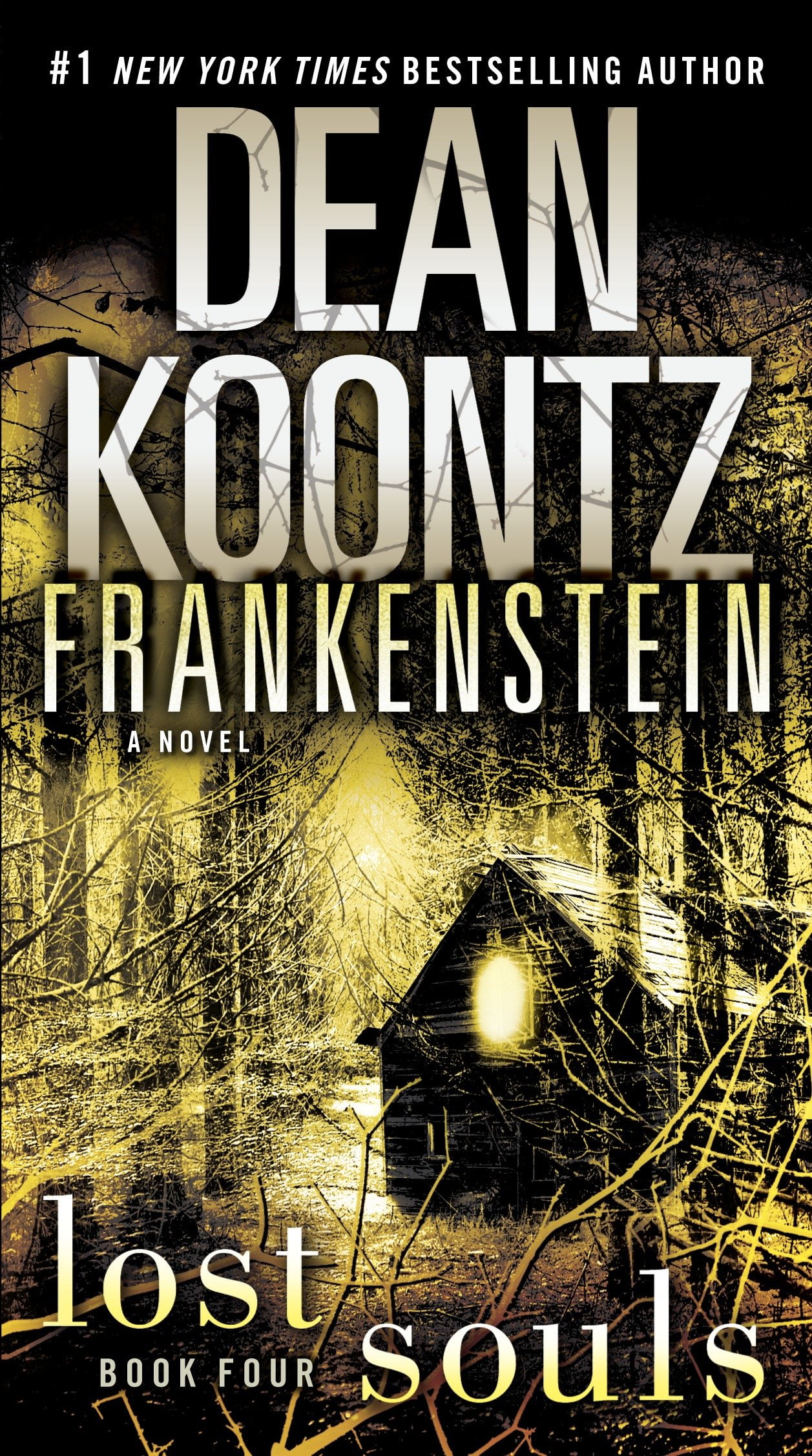dean koontz the lost soul of the city dean koontz the lost soul of the city