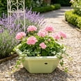 thumbnail image 5 of Hexagon Planter Pot Thickened Modern Plastic Flower Container with Drainage Hole for Indoor Outdoor Balcony Garden Home, 5 of 6