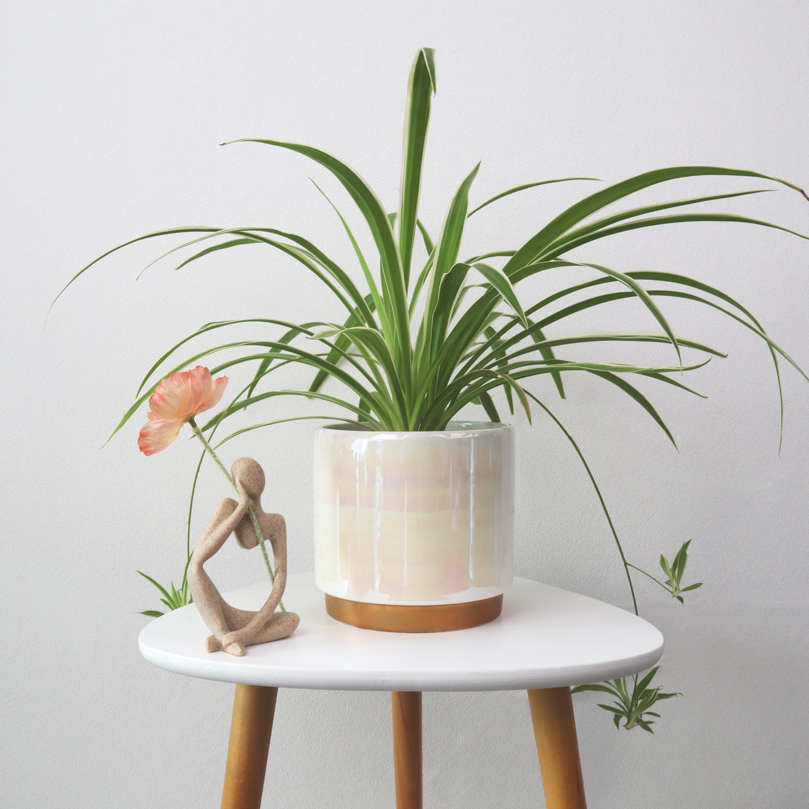 YFFSRJDJ White Plant Pots for Indoor Plants, Ceramic Planter with Drainage Hole, 6.0 inch+5.0 Inch+4.0 Inch. Succulent Orchid Flower Pot