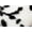 Sugarland noir et blanc, variante sur COUSSIN EN FAUSSE FOURRURE BELTON 12"X20" 2 PQT