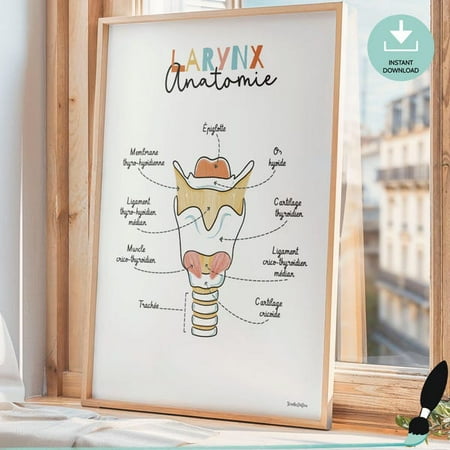 Anatomy Of The Larynx Poster In French, Slp Office Decor, Speech Therapist Gift, Ent Art, Doctor Gift, Medical Art- Wall Art Print, 16x24 UNFRAMED