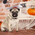 thumbnail image 4 of Fiudx Acentos De Decoración Del Hogar Accesorios De Halloween Espeluznante Halloween Falo Pug Perro tocado Divertido Chopper Sierra Hacha Martillo Vestir Liquidación De Ahorros De Verano, 4 of 7