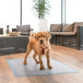 thumbnail image 2 of Tapis d’entraînement très Vibrant Life – 'XL (66*76cm)', 2 of 5