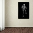 thumbnail image 3 of Trademark Fine Art 'Stockings' Canvas Art by Nandor Laszlo, 3 of 3