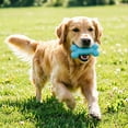 thumbnail image 4 of Stress-Free Brushing Dog Mouth Prop Chew Toy, Dual-Action Teeth Cleaning Performance, Daily Household Dog Oral Supply, 4 of 9