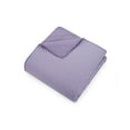 thumbnail image 2 of Urban Playground Kids and Teens Purple Angelietta 2-Piece Quilt Set, Twin, 2 of 4