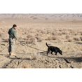 thumbnail image 2 of Us Soldier Works With Bear A Military Working Dog Searching For Land Mines At Bora Jengi Zabul Province Afghanistan., 2 of 2