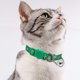 thumbnail image 3 of Collar Para Gatos/Perros Con Cascabel Para Acción De Gracias, 5 Unidades, Con Cierre De Seguridad Para Otoño, Navidad Y Otoño, Suave Y Ajustable, Con Hebilla De Liberación., 3 of 4