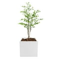 thumbnail image 4 of ToppiJoy Square Steel Planter Outdoor Indoor Planters Box Metal Heavy Duty Flower Pot Modern for Commercial Residential Home Garden Porch Hotel Patio (26*26*26in, White), 4 of 20