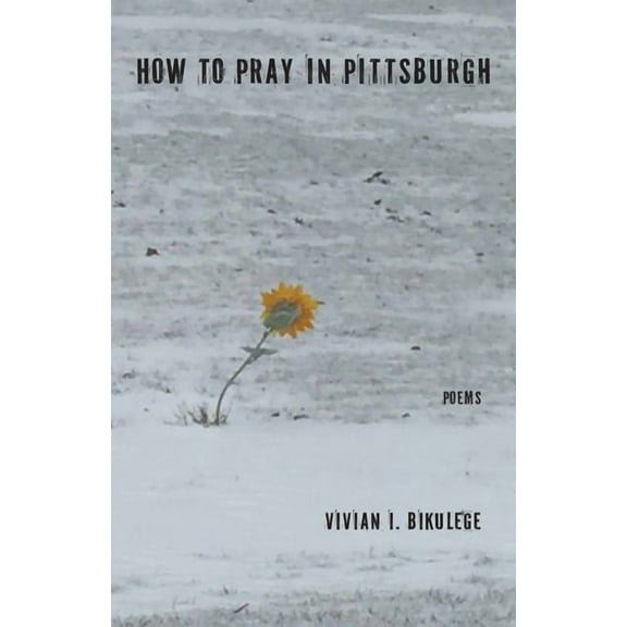 How to Pray in Pittsburgh, (Paperback)