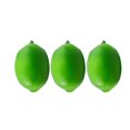 thumbnail image 1 of POINTERTECK Lemon slice simulation fruit fake fruit diameter artificial plastic realistic photography props, 1 of 18